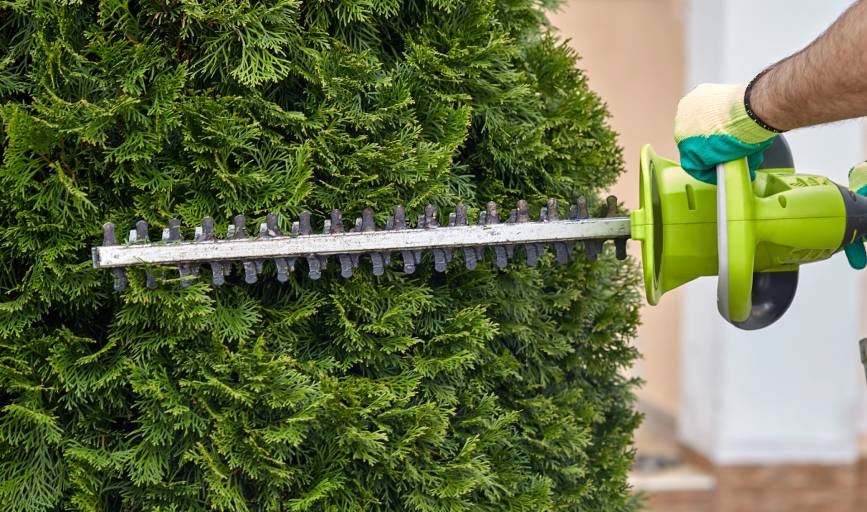 Firelands Lawncare