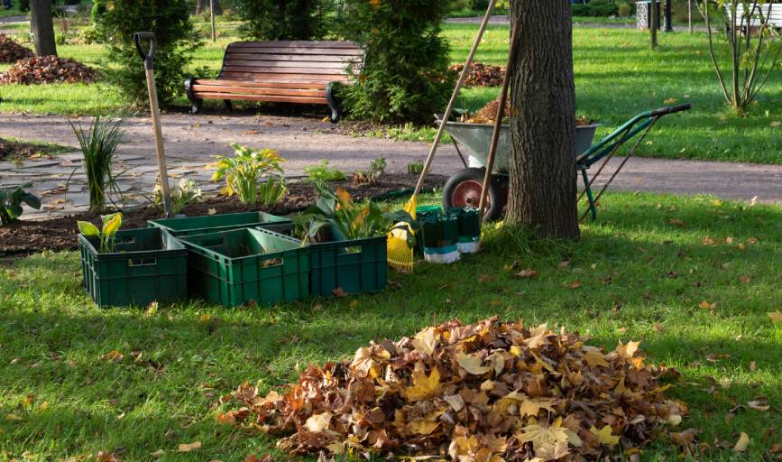 Firelands Lawncare
